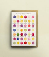 The Colours of British Wildflowers Card