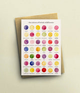 The Colours of British Wildflowers Card