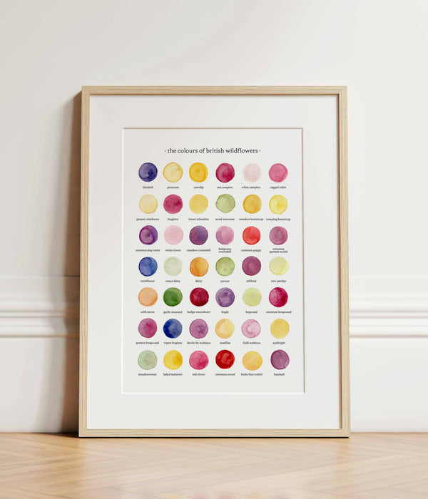 The Colours of British Wildflowers Print