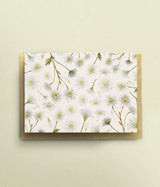 Daisies Card - A6 - bytillyillustration