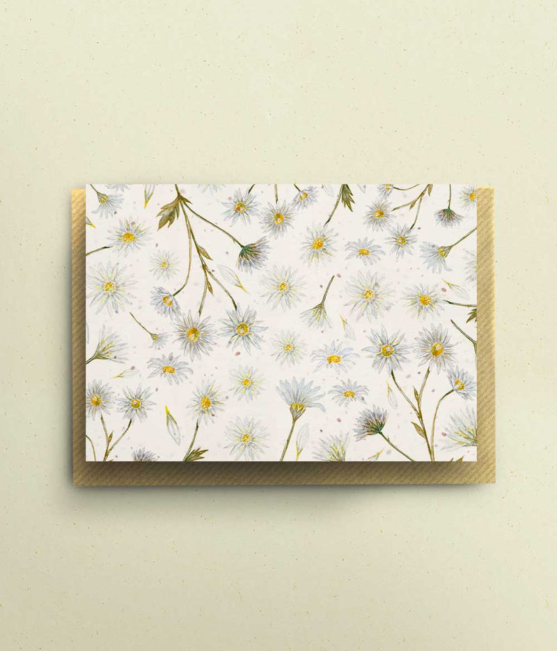 Daisies Card - A6 - bytillyillustration